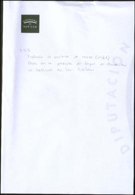 
Protocolo de escrituras de casas y tributos (nº 21). Casas en la plazuela del Duque de Alcalá en...