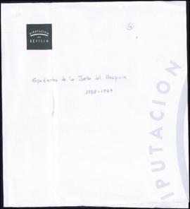 Expediente de la Junta del Hospicio