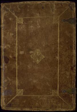 Libro de escrituras del Hospital del Pilar (bulas, constituciones, documentos reales, visitas...E...