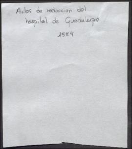 Auto de reducción del hospital de Guadalupe