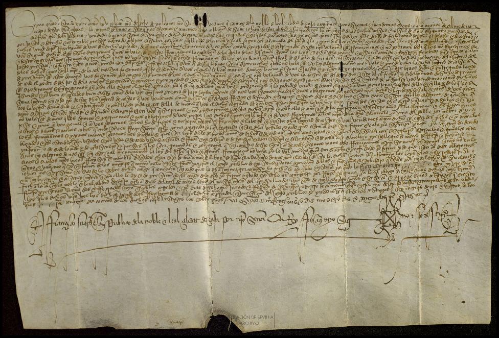 Open original Documentos digitalizados