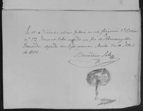 Open original Documentos digitalizados