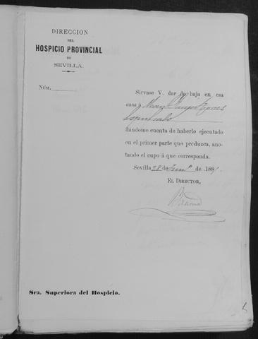 Open original Documentos digitalizados