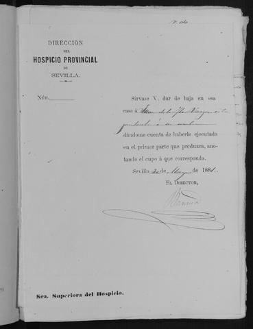 Open original Documentos digitalizados