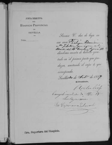 Open original Documentos digitalizados