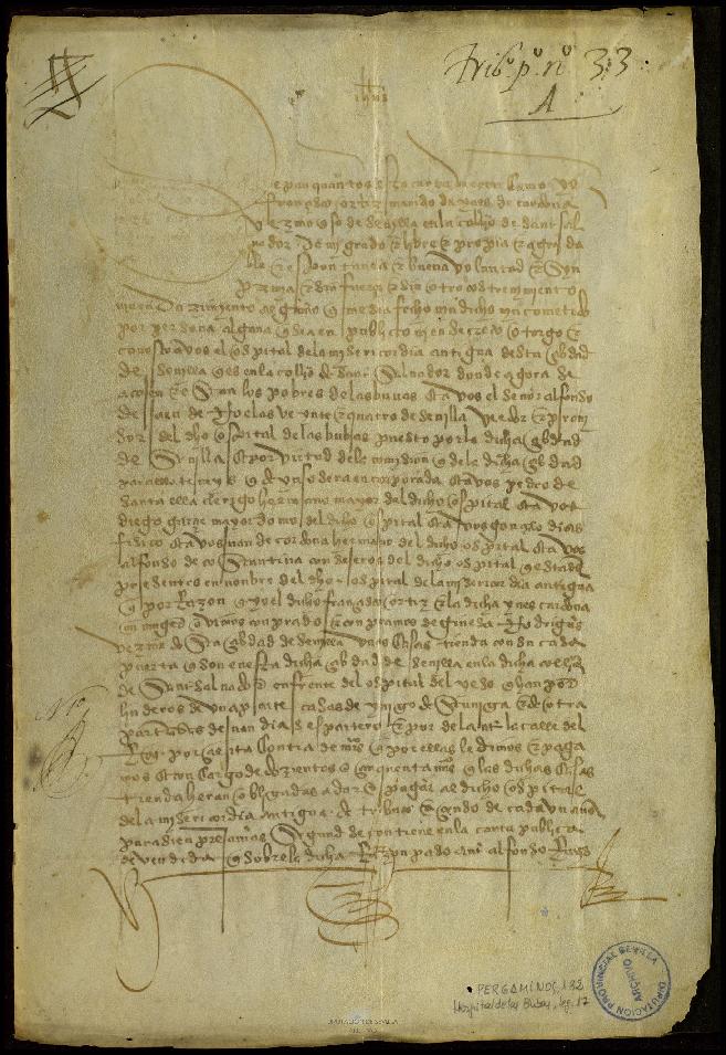Open original Documentos digitalizados