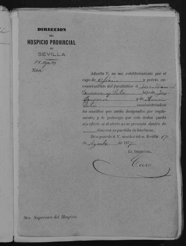 Open original Documentos digitalizados