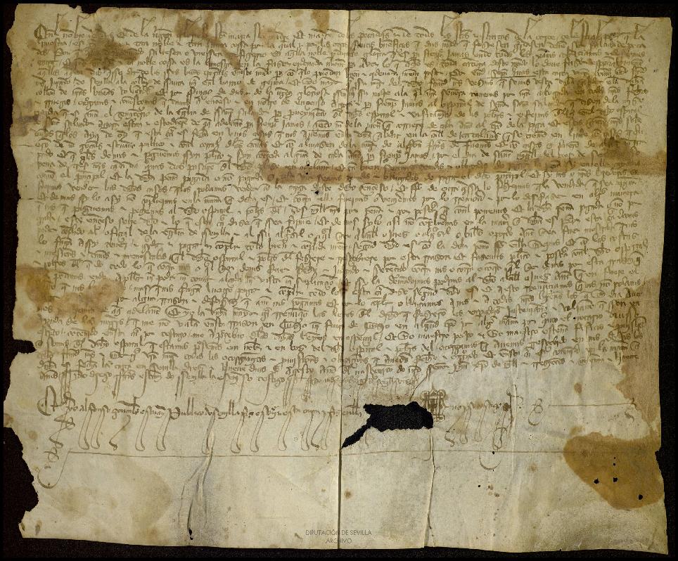 Open original Documentos digitalizados