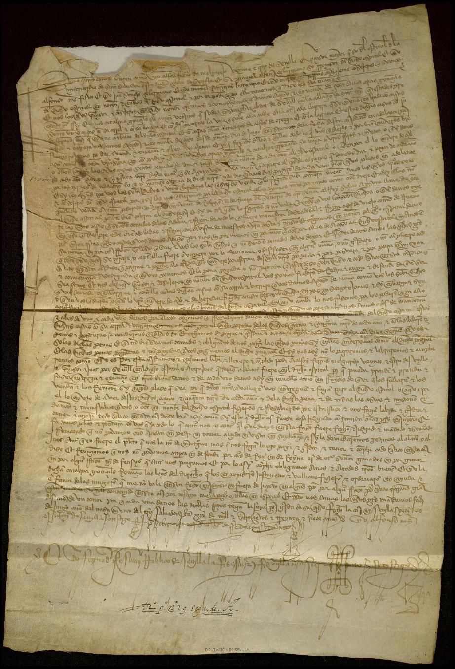 Open original Documentos digitalizados