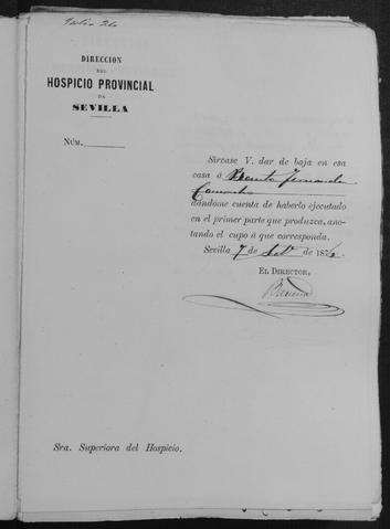 Open original Documentos digitalizados