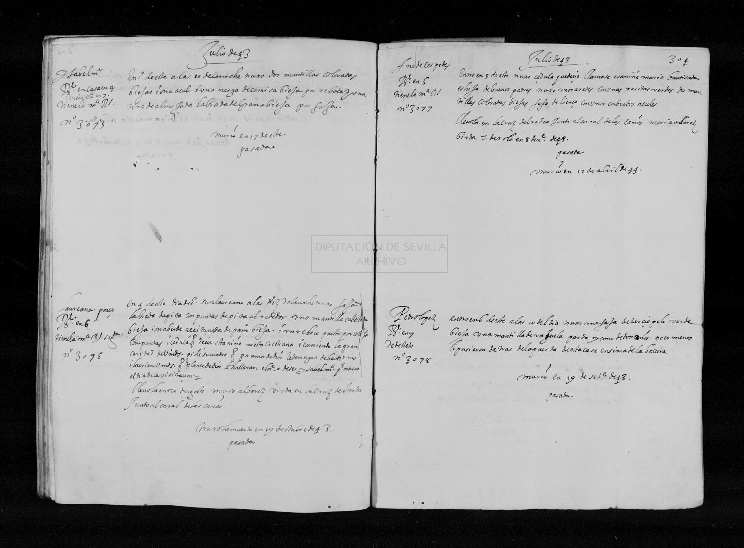 Open original Digital object