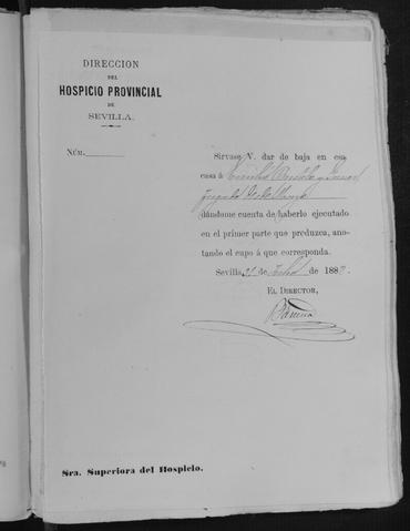 Open original Documentos digitalizados