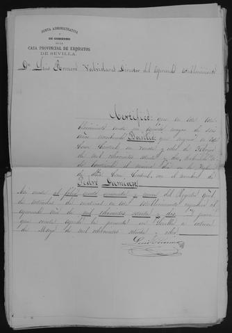 Open original Documentos digitalizados