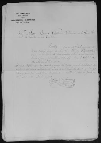 Open original Documentos digitalizados