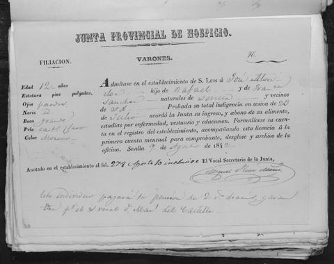 Open original Documentos digitalizados