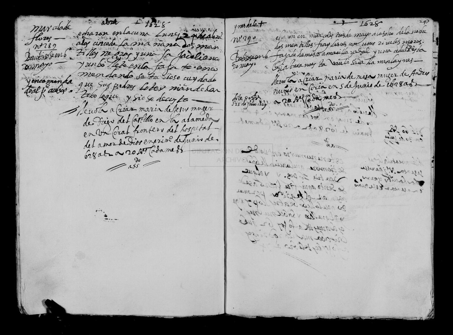 Open original Digital object