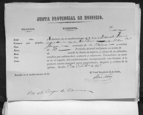 Open original Documentos digitalizados