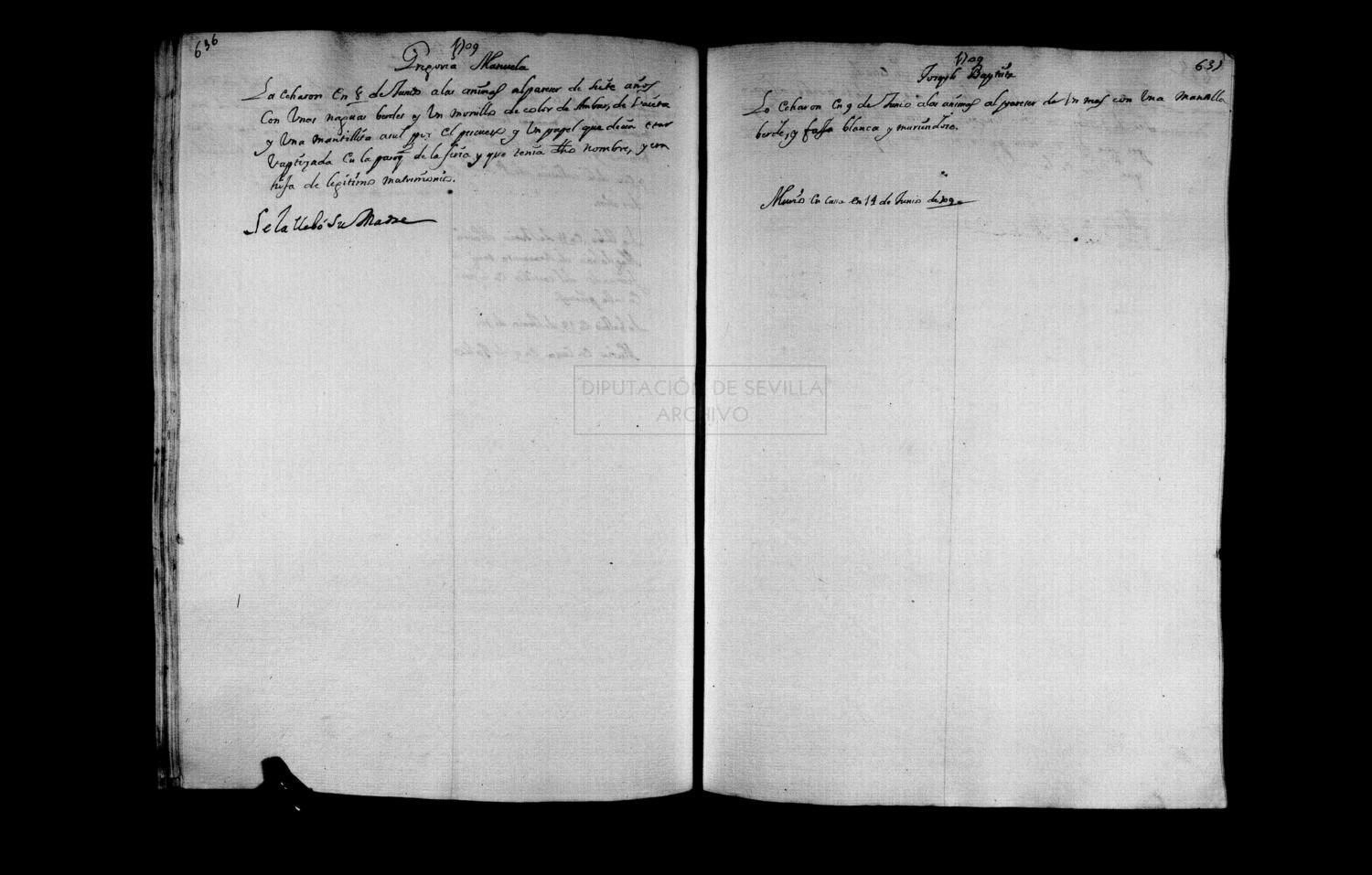 Open original Documentos digitalizados