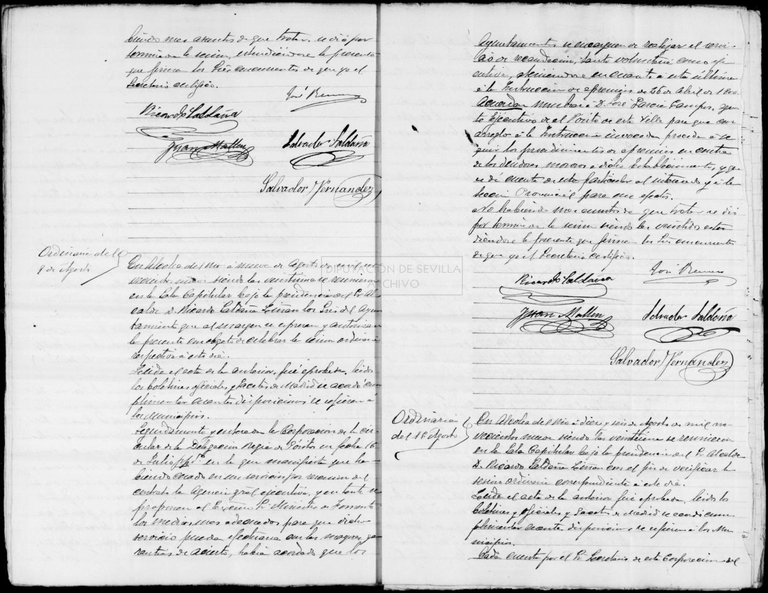 Open original Documentos digitalizados