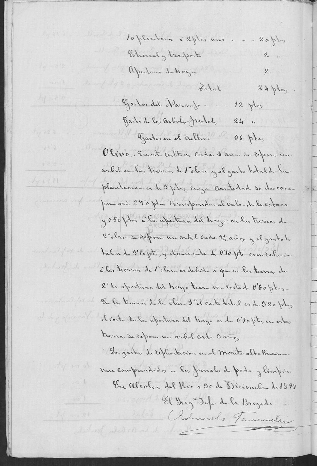 Open original Documentos digitalizados