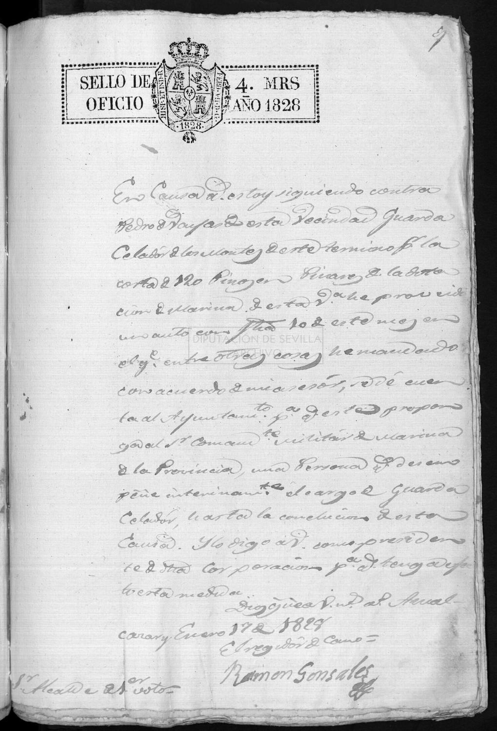 Open original Documentos digitalizados
