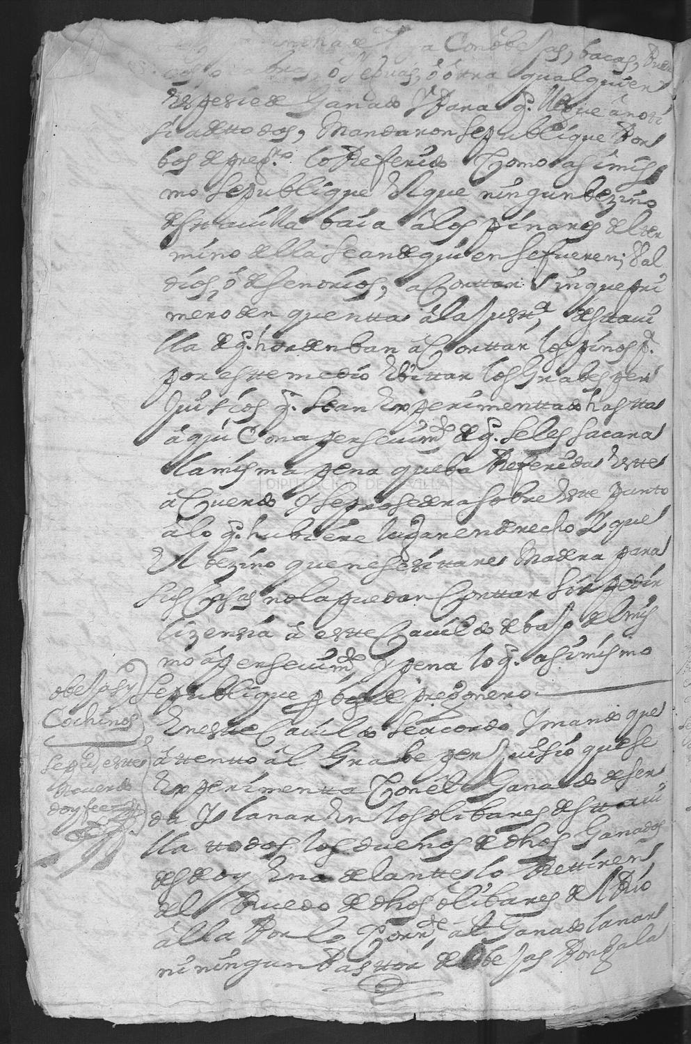 Open original Documentos digitalizados