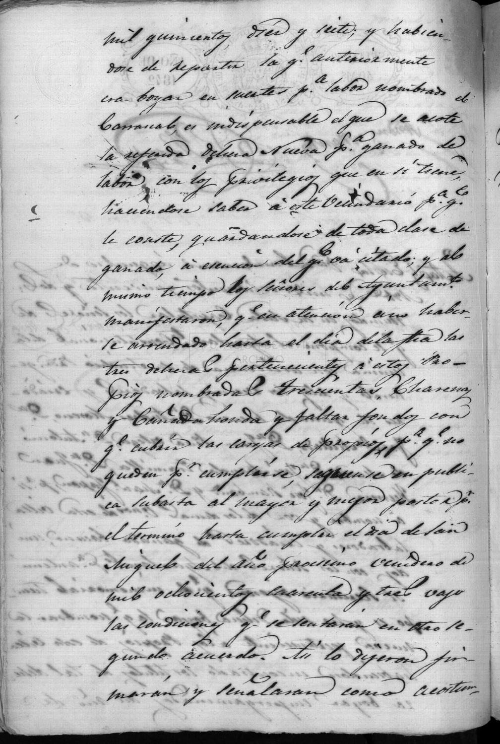 Open original Documentos digitalizados