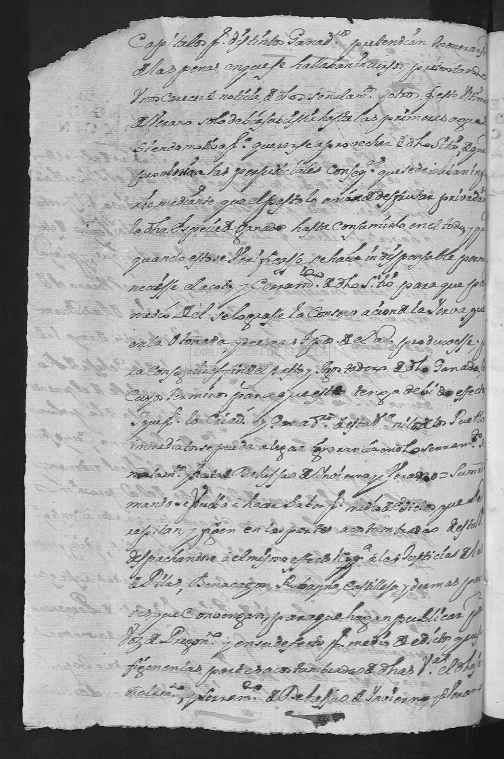 Open original Documentos digitalizados