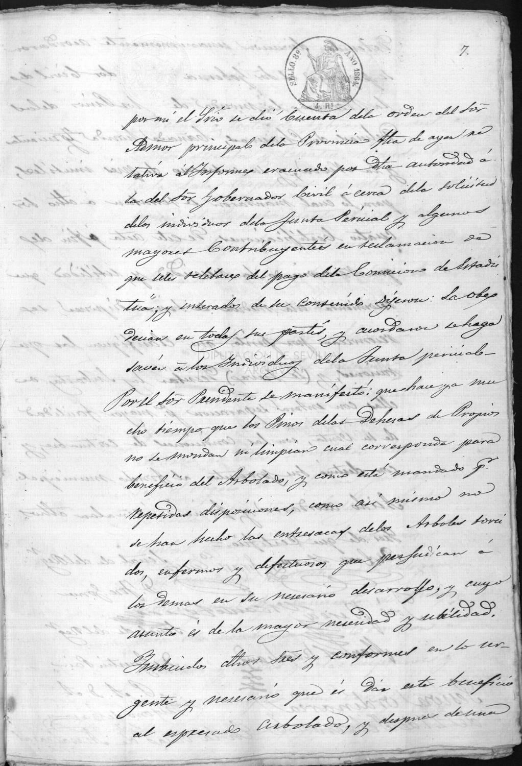 Open original Documentos digitalizados