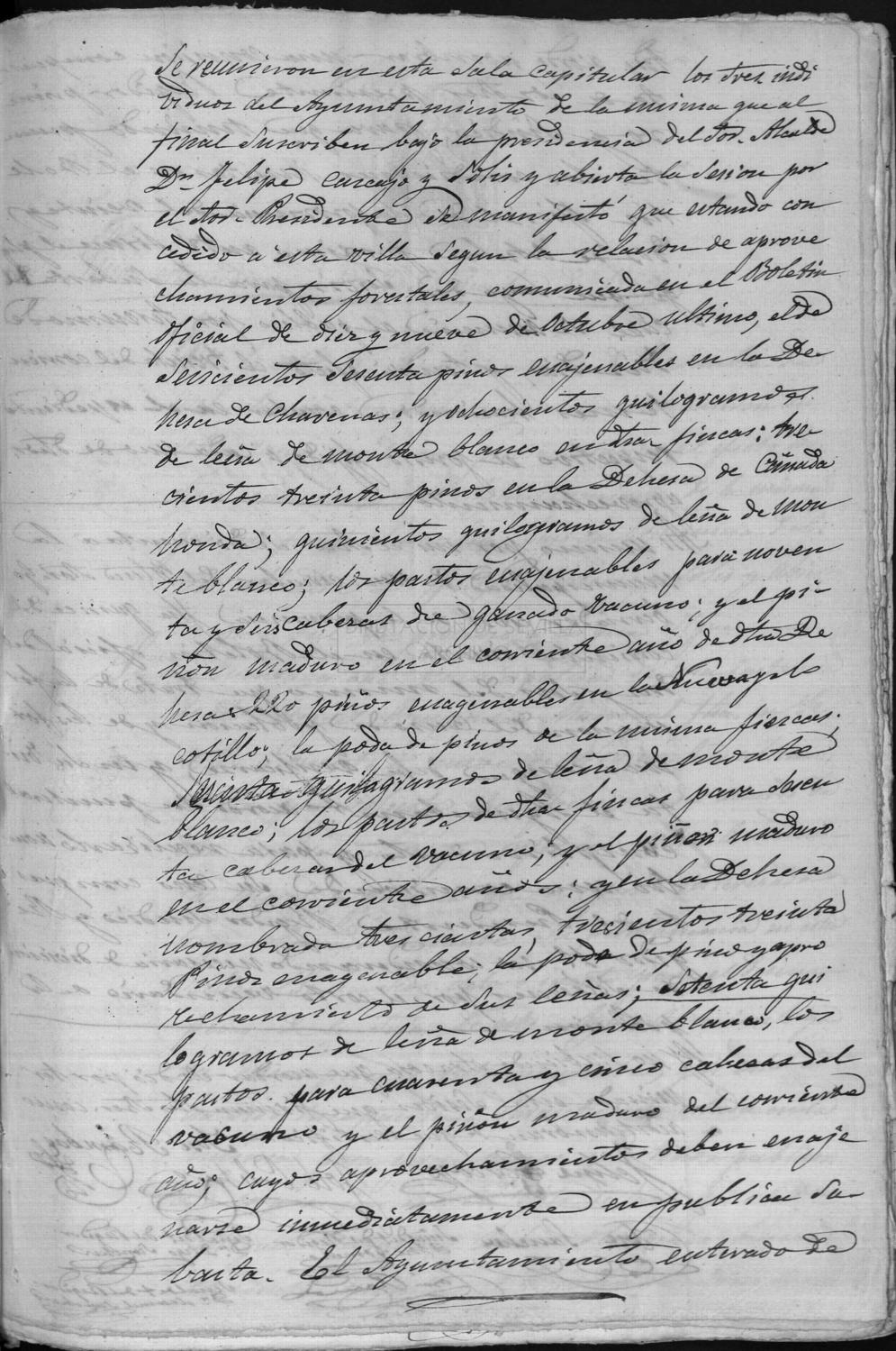Open original Documentos digitalizados