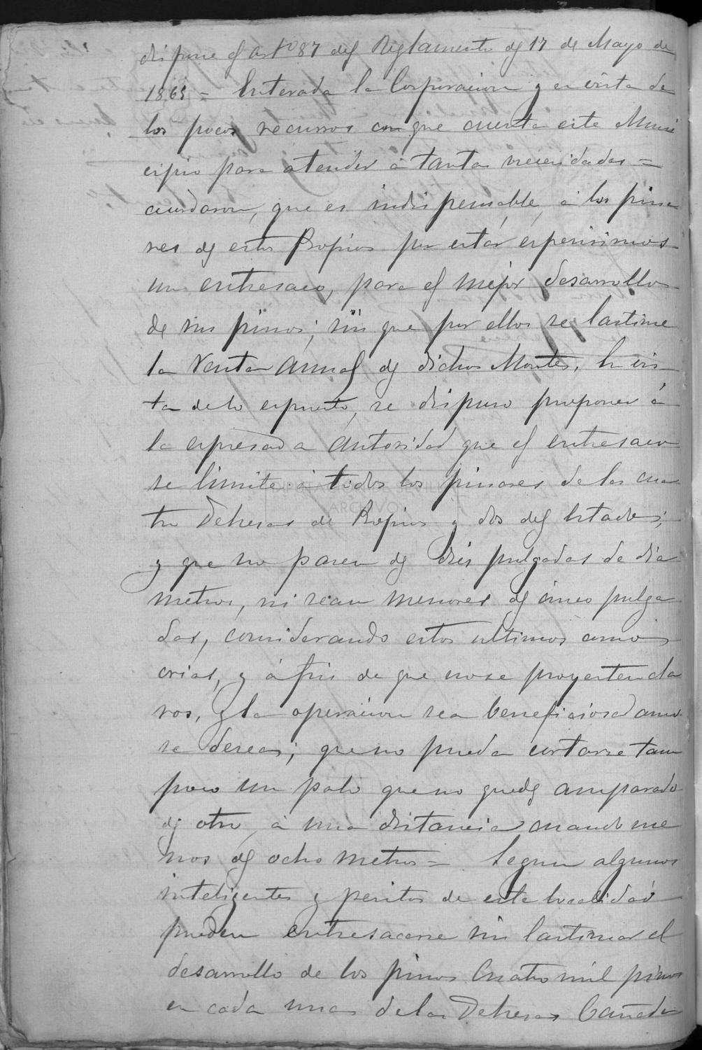 Open original Documentos digitalizados