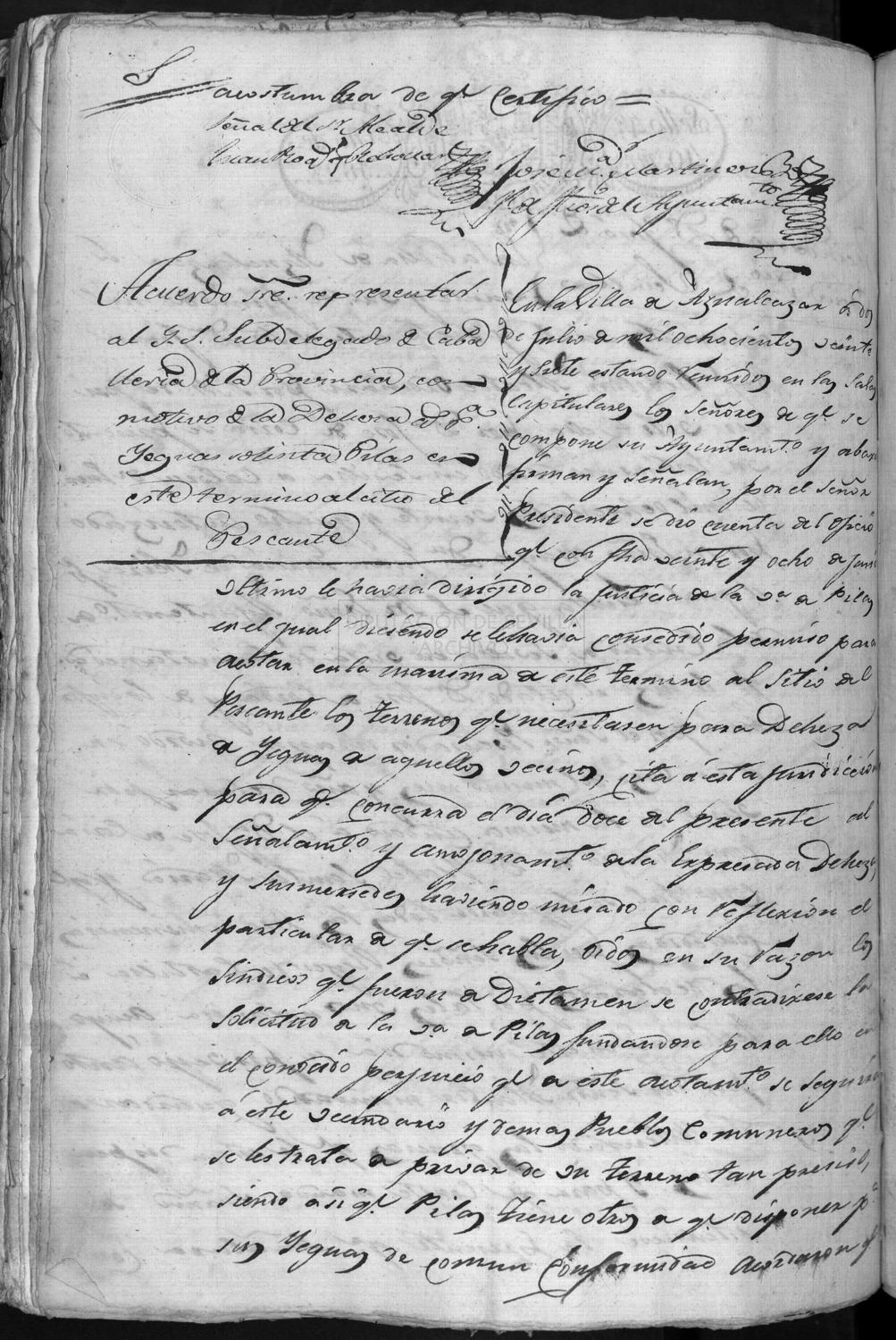 Open original Documentos digitalizados