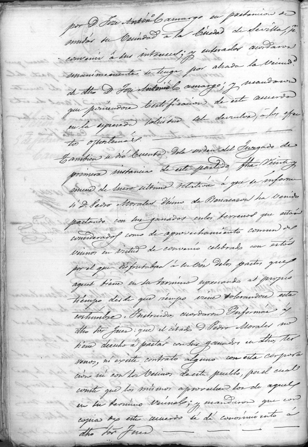 Open original Documentos digitalizados