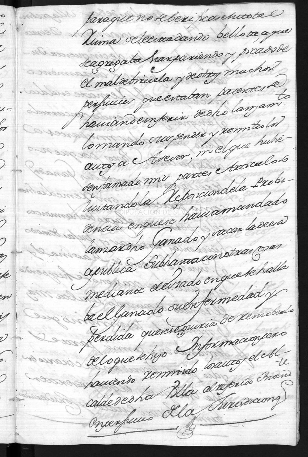 Open original Documentos digitalizados