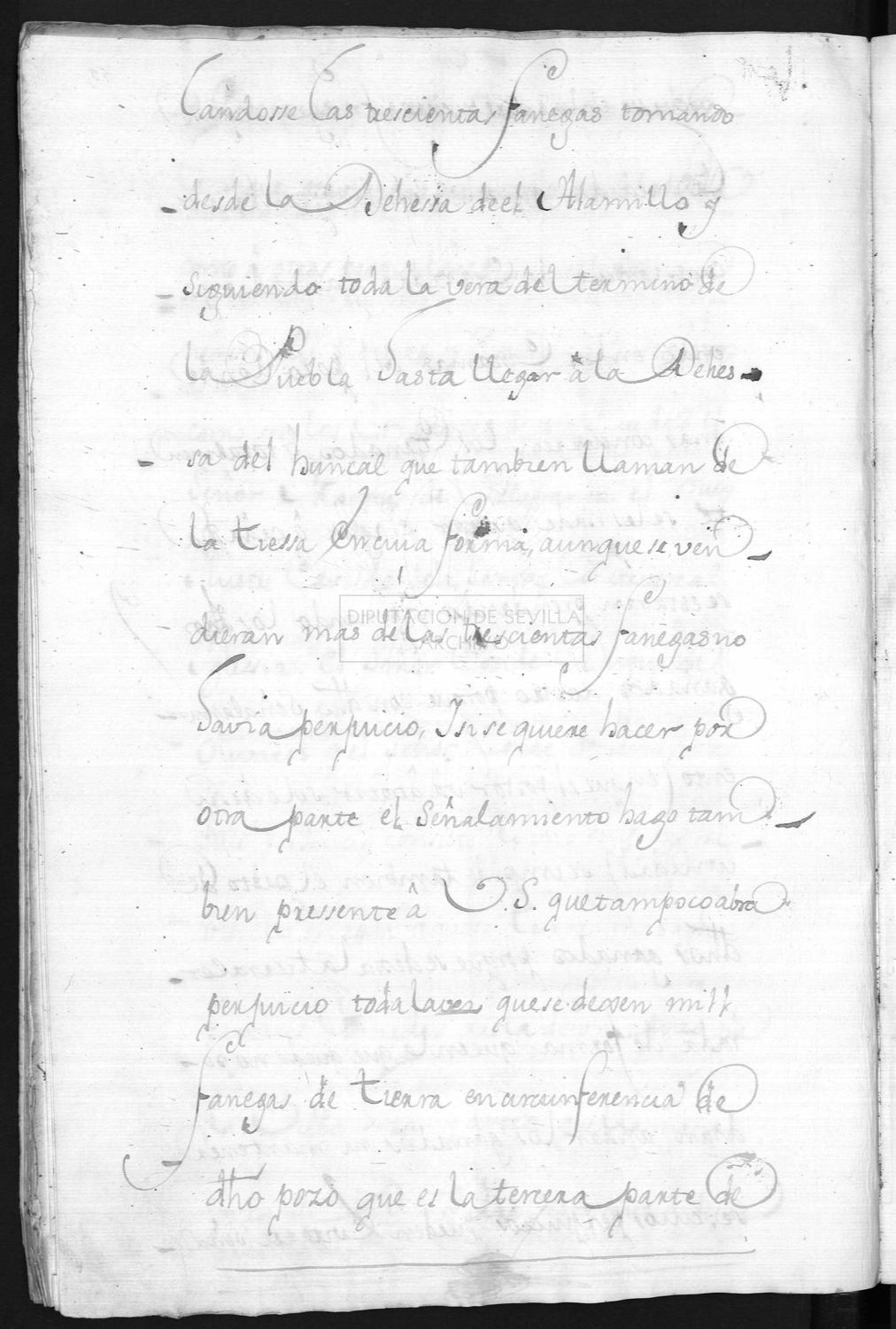 Open original Documentos digitalizados
