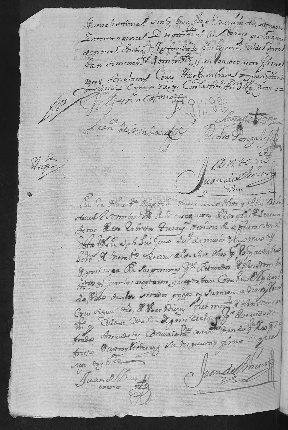 Open original Documentos digitalizados