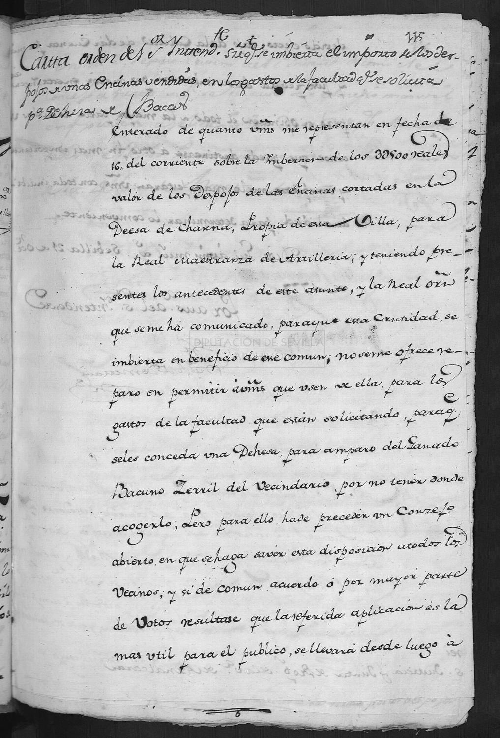 Open original Documentos digitalizados