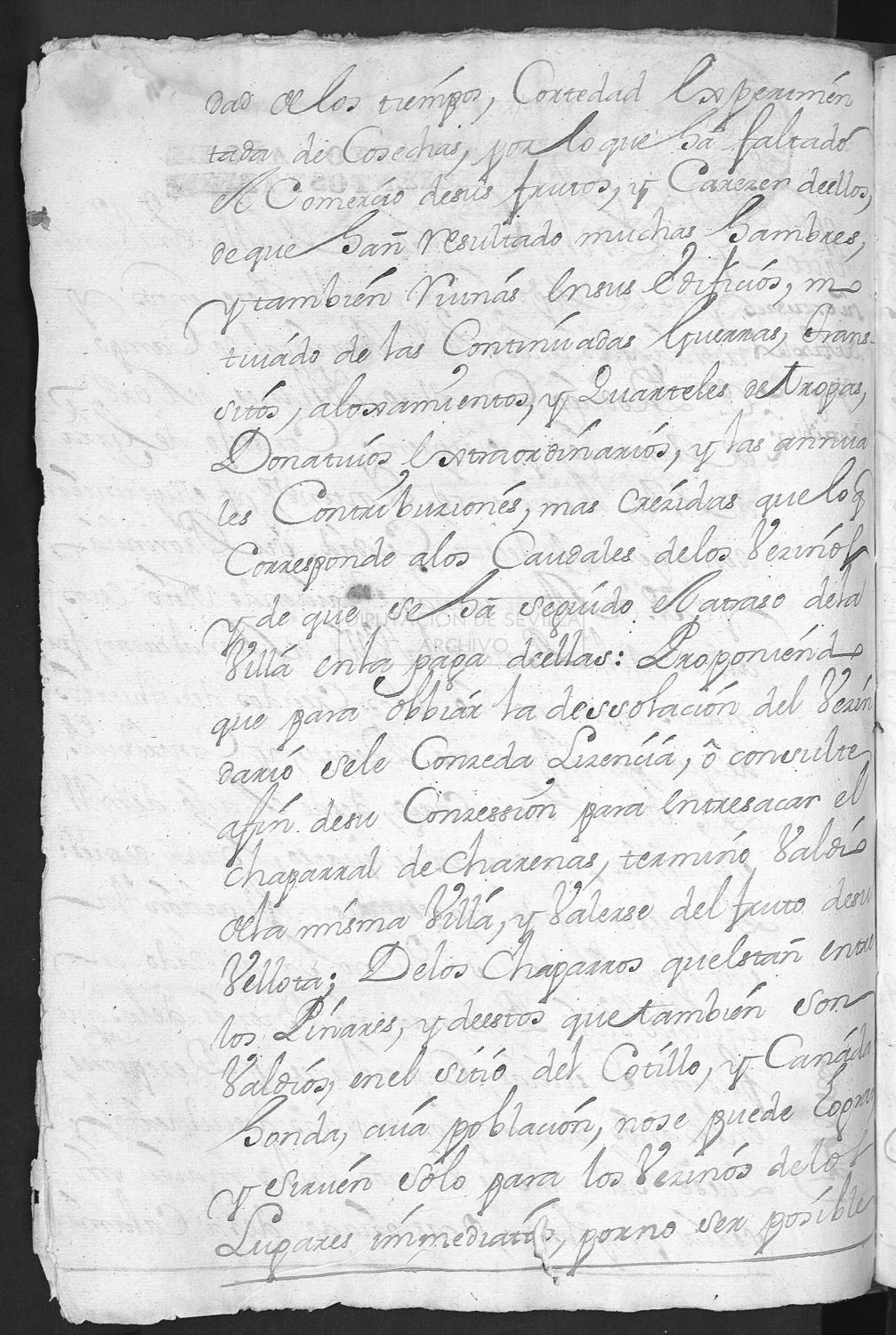 Open original Documentos digitalizados
