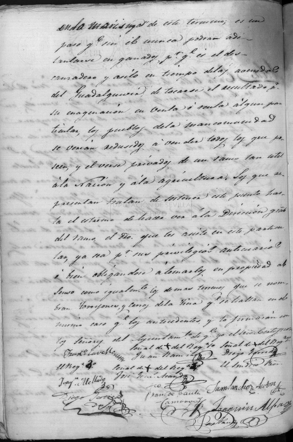 Open original Documentos digitalizados