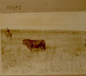 Open original Documentos digitalizados